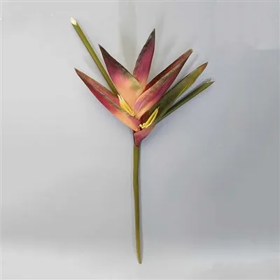 Fiore tropicale dall'aspetto reale